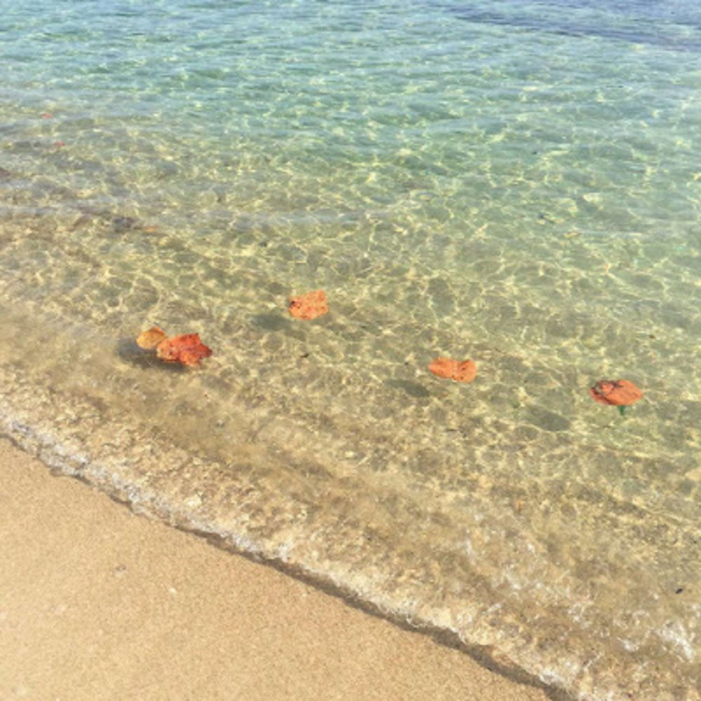 Meet your Posher, Guanyu